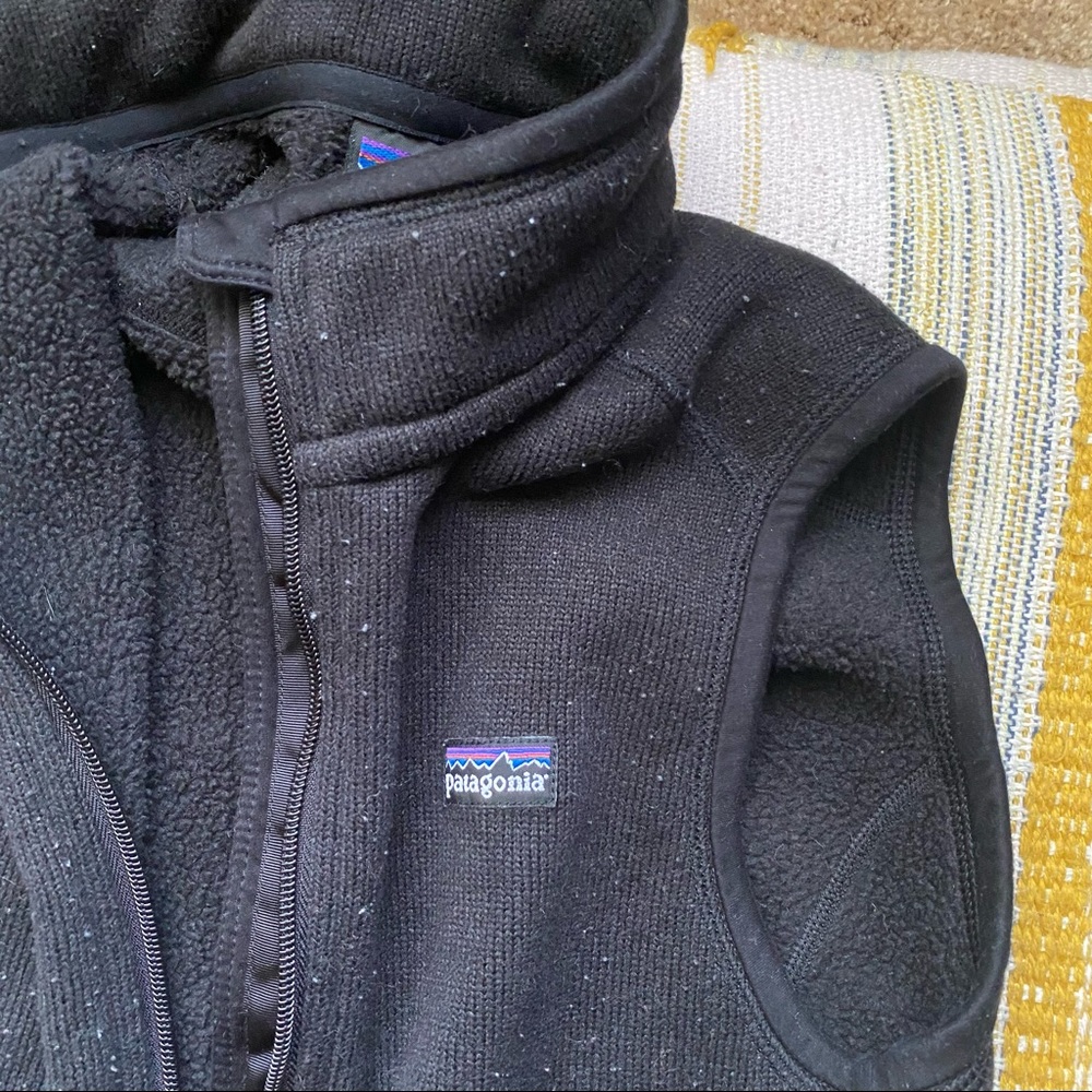Patagonia fleece vest